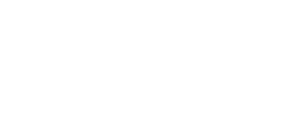 FirstSpark Logo